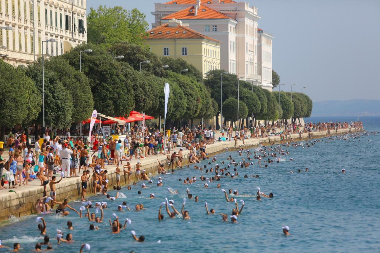 Apartman Dioniz